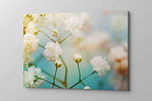 Obraz Púčiky kvetov 1707